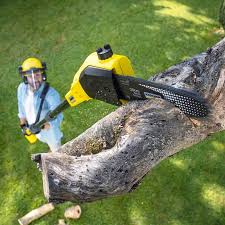 Best Lawn Pest Prevention  in Montague, MI