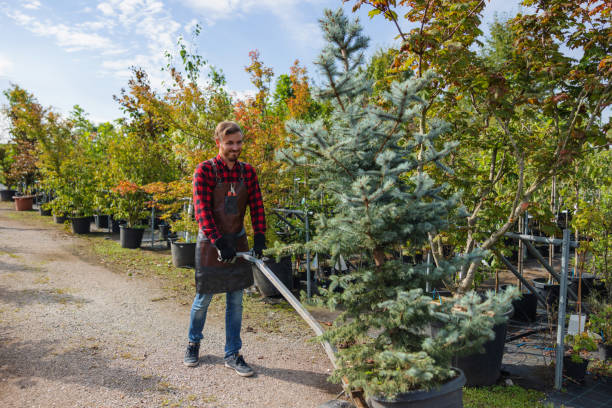 Best Commercial Tree Services  in Montague, MI